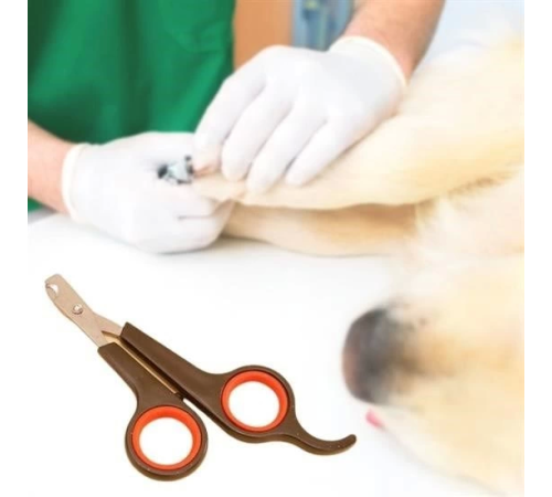 Küçük Çelik Uçlu Kedi Köpek Evcil Hayvan Tırnak Makası Pati Bakım Aleti Ergonomik Kaymaz Sap-1 Adet Fiyatı