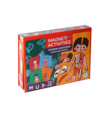 LC986 Manyetik Aktivite İnsan Anatomisi -Laço