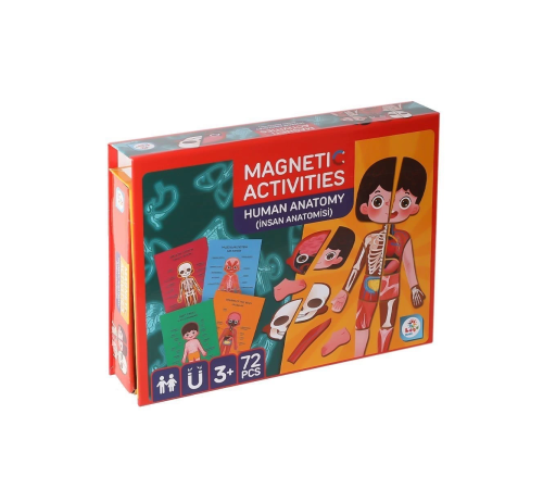 LC986 Manyetik Aktivite İnsan Anatomisi -Laço LC986 Manyetik Aktivite İnsan Anatomisi -Laço