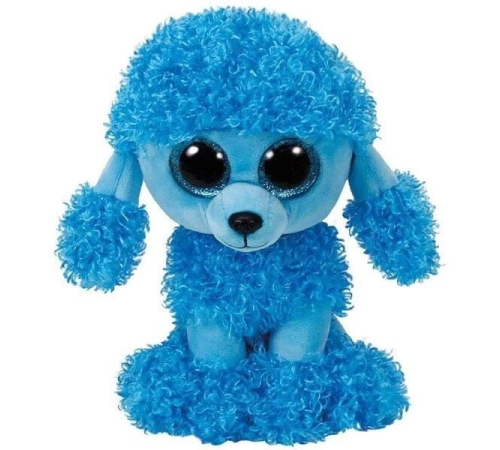 MANDY BLUE POODLE REG MANDY BLUE POODLE REG
