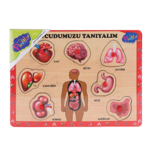 ONY-287 288 Ahşap Tutmalı Vücumuzu Tanıyalım -Onyıl Oyuncak