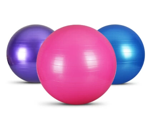 Pilates Topu 65 cm (336336) Pilates Topu 65 cm (336336)
