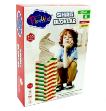 Playwood Eğitici Sihirli Bloklar 100 Parça
