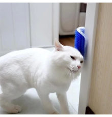 Pratik Kedi Tüyü Kaşıma Ve Tarama Aparatı Duvara Monte Kaşıma Aleti