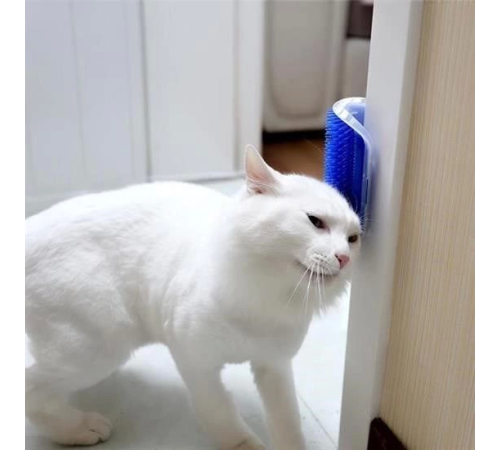 Pratik Kedi Tüyü Kaşıma Ve Tarama Aparatı Duvara Monte Kaşıma Aleti