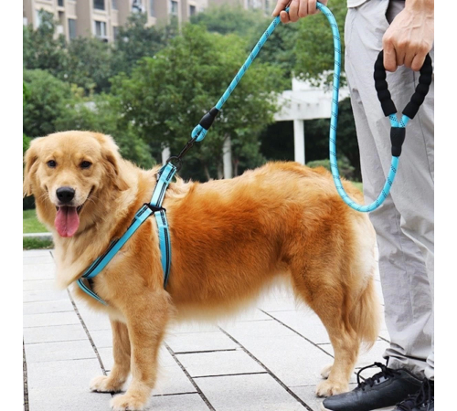 Reflektörlü Fosforlu Köpek Gezdirme Halatı Tasma Kayışı Metal Kancalı 130 cm