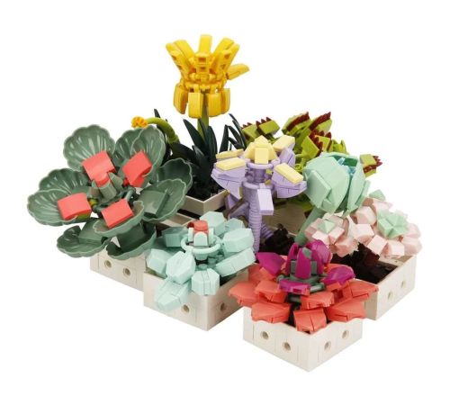 S00004685 BLX FLOWER SET SCULENT 971 PRÇ -SUN
