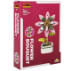 S00004695 FLOWER SET ORMAN ASMASI 172 PRÇ -SUN