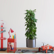 Saksılı Bitki Tasarımlı Yapışkanlı Sticker Resim 90*30 cm MC-665