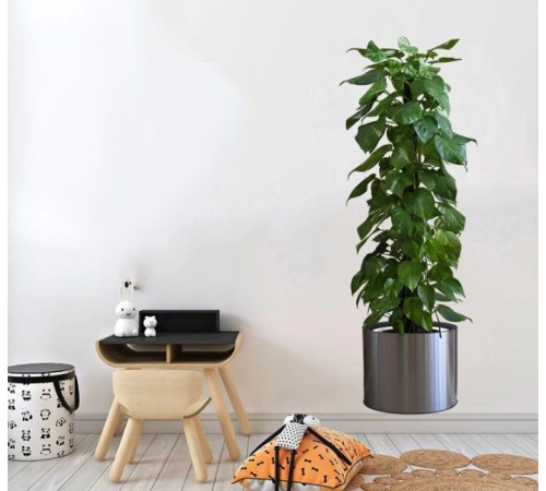 Saksılı Bitki Tasarımlı Yapışkanlı Sticker Resim 90*30 cm MC-665 Saksılı Bitki Tasarımlı Yapışkanlı Sticker Resim 90*30 cm MC-665