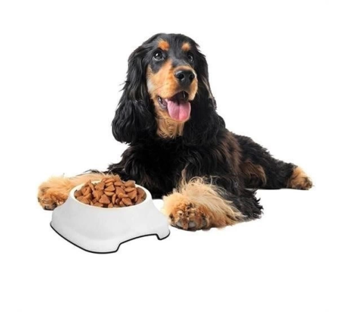 Silikon Kaydırmaz Taban Plastik Kedi ve Köpek Mama ve Su Kabı 2 L