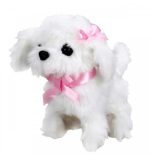 Sunman Sevimli Köpek Maltese