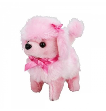 Sunman Sevimli Köpek Poodle