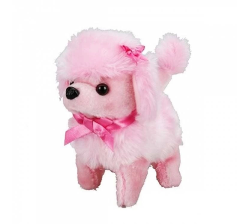 Sunman Sevimli Köpek Poodle Sunman Sevimli Köpek Poodle