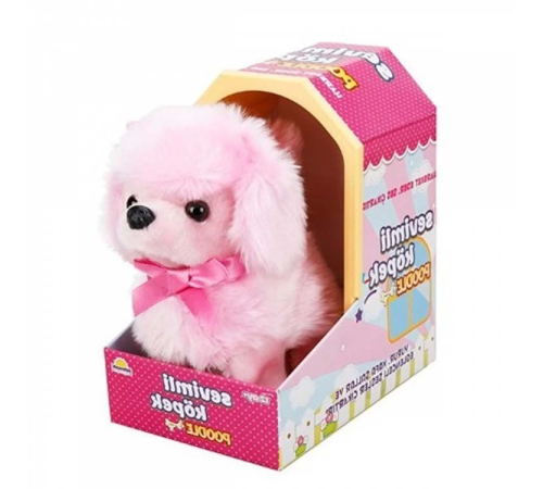 Sunman Sevimli Köpek Poodle Sunman Sevimli Köpek Poodle