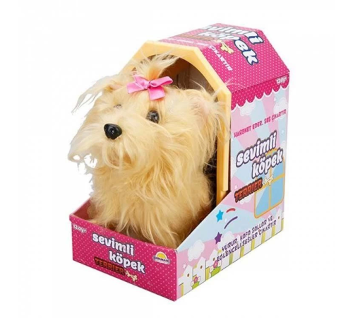Sunman Sevimli Köpek Terrier Sunman Sevimli Köpek Terrier