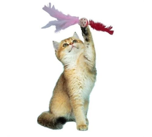 Tüylü Püsküllü Kedi Oyuncağı Dikkat Çekici Renkli Sevimli Evcil Hayvan Oyuncağı Tüylü Püsküllü Kedi Oyuncağı Dikkat Çekici Renkli Sevimli Evcil Hayvan Oyuncağı