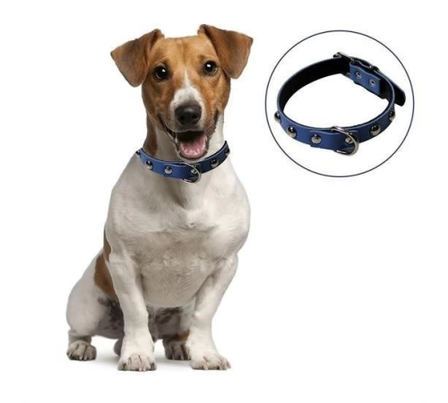 Yumuşak Dokulu Deri Köpek Gezdirme Boyun Tasması (Large)