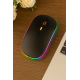 Kablosuz Fare Wireless Mouse, Bluetooth 5.2, Şarjlı, Ergonomik, Type-c, 800/1200/1600 Dpı, Led Işık