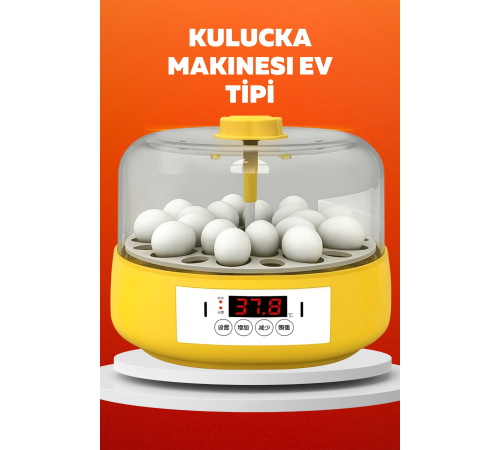 Ev Tipi Mini Kuluçka Makinesi – Civciv Çıkım Makinesi OTOMATİK