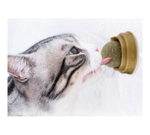 Kedi Nanesi Oyun Topu