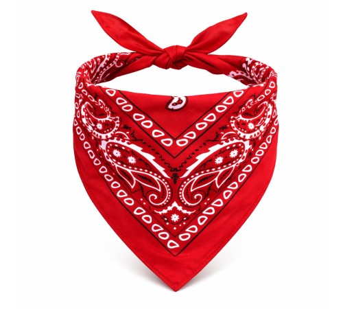 Kırmızı Kovboy Fuları Çocuk Bandana Western Desenli Boyun Fuları