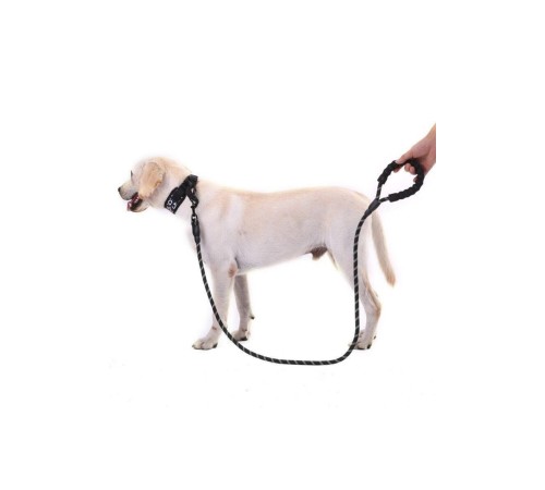 Köpekler İçin Gezdirme Tasması Reflektörlü 130 cm Halat Orta ve Büyük Boy Köpekler İçin Siyah