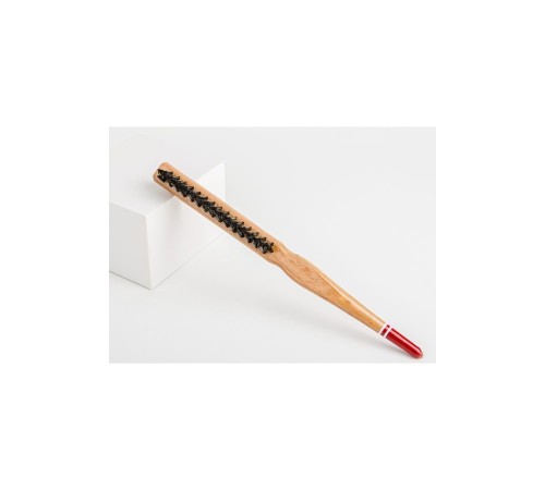 Profesyonel Topuz Fırçası