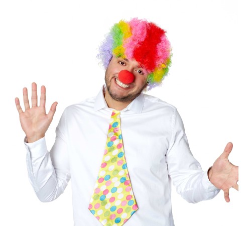 Rengarenk Kıvırcık Afro Bonus Peruk ve Kırmızı Burun Seti