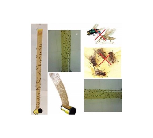 Tibtrap Yapışkan Sinek Kapanı 4 Lü