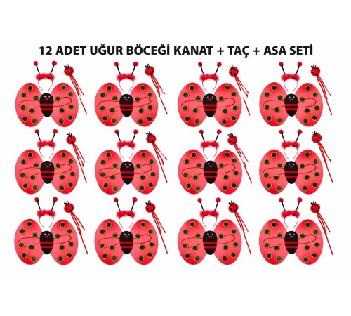 Uğur Böceği Kostüm Seti - Kanat Taç Asa 3 Parça 12 Adet