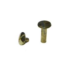 BFS Cilt Menü, Katalog, Kartela Vidası, 20 Mm - Sarı, 100 Adet
