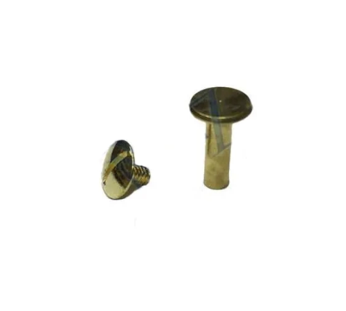BFS Cilt Menü, Katalog, Kartela Vidası, 20 Mm - Sarı, 100 Adet