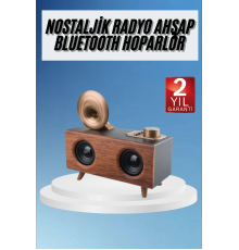 Gramafon Radyo Bluetooth Hoparlör Nostaljik Radyo FM Radyo