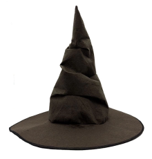 Harry Potter Seçmen Şapkası Çocuk Boy