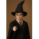 Harry Potter Seçmen Şapkası Siyah Renk