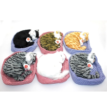 Horlayan Nesef Alıp Veren Yastıkda Uyuyan Kedi Sesli Alk3416