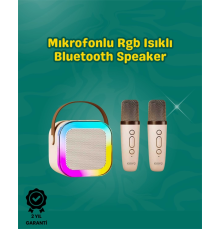 İki Mikrofonlu Renkli LED Işıklı Karaoke Cihazı