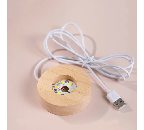 Işıklı Ahşap Altlıklı Cam Küre Işıklı Ahşap Altlıklı Cam Küre