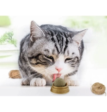 Kedi Nanesi Oyun Topu