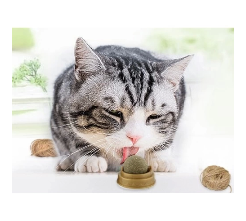 Kedi Nanesi Oyun Topu