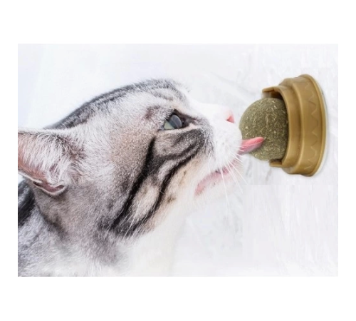 Kedi Nanesi Oyun Topu