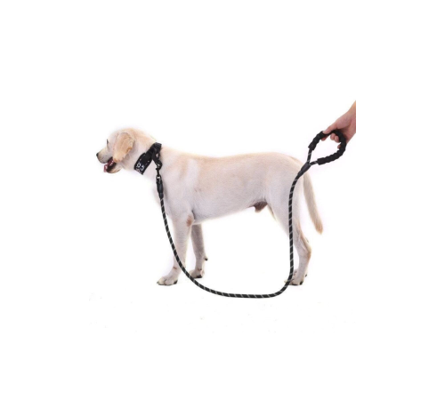 Köpekler İçin Gezdirme Tasması Reflektörlü 130 Cm Halat Orta Ve Büyük Boy Köpekler İçin Siyah Köpekler İçin Gezdirme Tasması Reflektörlü 130 Cm Halat Orta Ve Büyük Boy Köpekler İçin Siyah