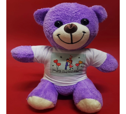 Mutlu Aşıklar Temalı Peluş Ayıcık Mutlu Aşıklar Temalı Peluş Ayıcık