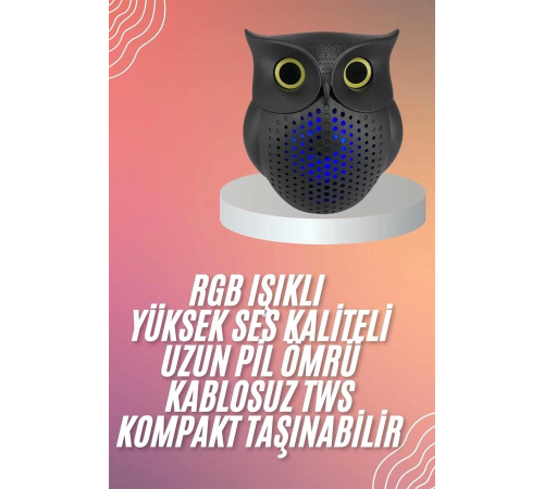 Müzik Çalar Bluetooth Hoparlör Speaker 5.0 Kablosuz Baykuş Görünümlü Müzik Çalar Bluetooth Hoparlör Speaker 5.0 Kablosuz Baykuş Görünümlü