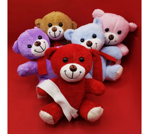 Peluş Ayıcık
