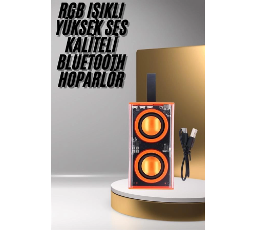 Şeffaf Taşınabilir Bluetooth Hoparlör Uzun Ömürlü Çift Hoparlörlü