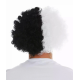 Siyah Beyaz Kıvırcık Afro Bonus Peruk Taraftar Bonus Saç