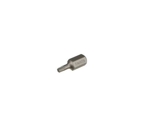 Torx Otomotiv Bits Uç - T30x30 (20 Adet) Torx Otomotiv Bits Uç - T30x30 (20 Adet)