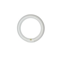 Ligtex 3w Florasan Simit Ampul T9 2100lm